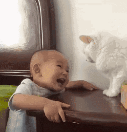 一次看个爽！GIF动图集锦：挺好看一姑娘，怎么就是脑子不好使呢