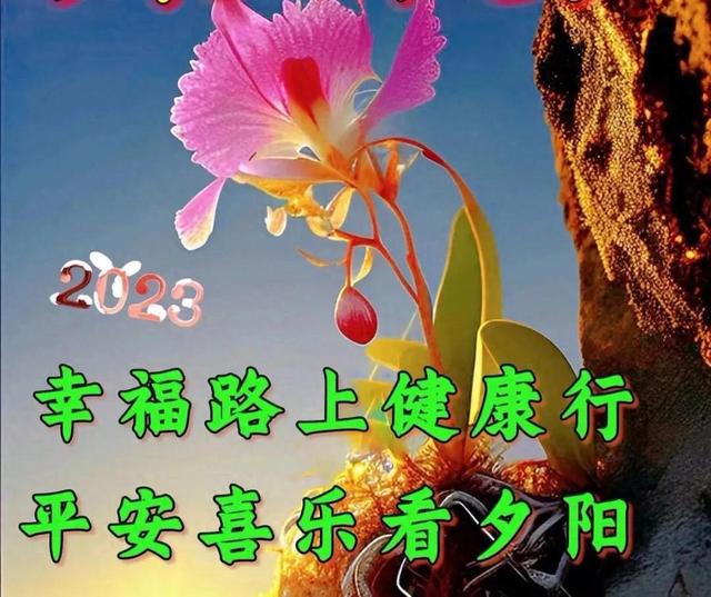 2023-12-11星期一冬日清晨早上好动画表情美女图片带祝福语