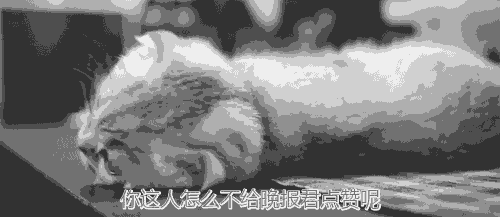 微信“美女”主动加好友，他通过了请求，接着满屏幕全是