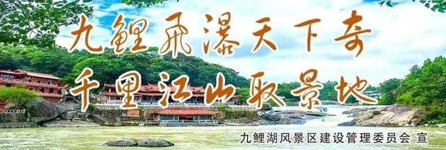 有汽车有美食！仙游这里玩儿出“新花样”