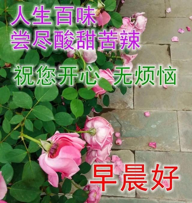 2023-12-11星期一冬日清晨早上好动画表情美女图片带祝福语