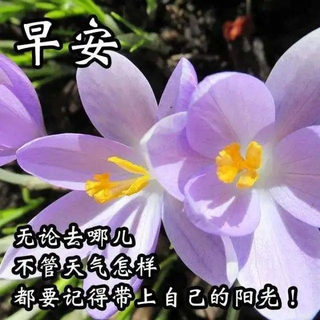 2023-12-11星期一冬日清晨早上好动画表情美女图片带祝福语