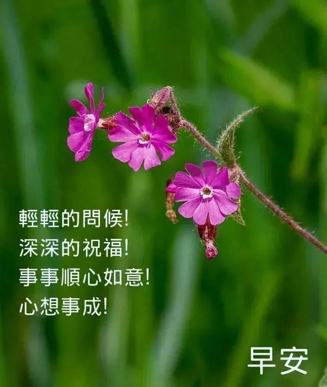 2023-12-11星期一冬日清晨早上好动画表情美女图片带祝福语