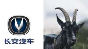 汽车标志像鸟(人人都认识的国产车标，设计灵感却鲜为人知都有着怎样的故事？)