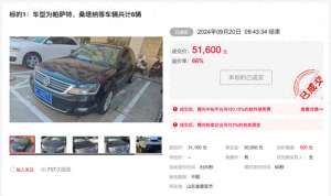 泰安铃木汽车(最高溢价66%泰安19辆公车今日全部拍出，成交额1194万元)