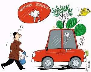 汽车洗树胶(汽车问大河‖车漆上树胶咋清理？如何办理异地审车？电瓶警示灯为啥忽亮忽灭？)