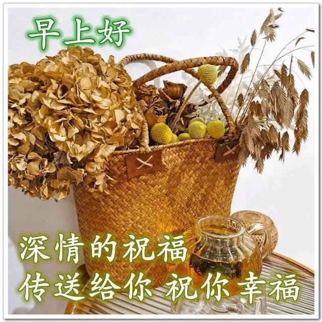 2023-12-11星期一冬日清晨早上好动画表情美女图片带祝福语