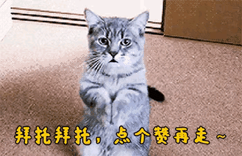 做核酸检测时,遇到一个姑娘,我该怎么套近乎呢?哈哈哈