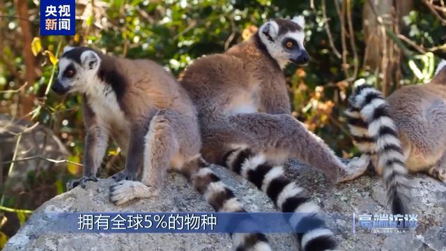 高端访谈丨专访马达加斯加总统拉乔利纳