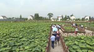 丁堰汽车站(打造交通服务乡村振兴样板 南通抢抓“黄金期”)