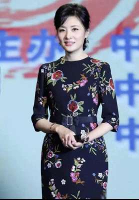 中央最美女主持人(中央电视台四大最美女主持人)