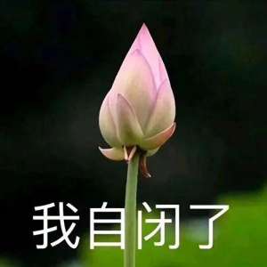 美女佛头像图片大全(一组佛系头像，阿弥陀佛)