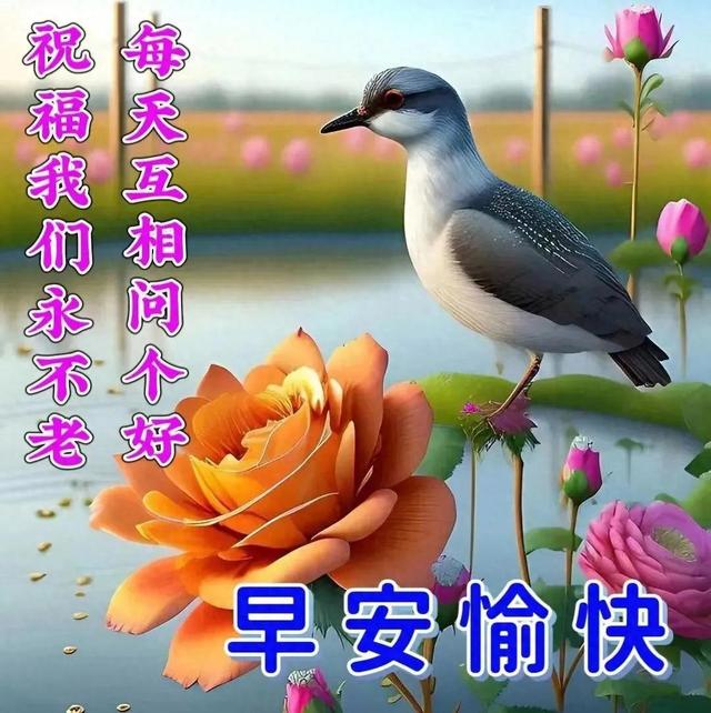 2023-12-11星期一冬日清晨早上好动画表情美女图片带祝福语