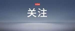 汽车被树砸(天降椰子砸坏汽车，谁来赔？法院判了)
