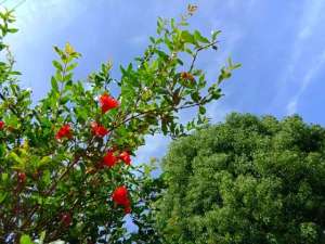 铜陵到左岗汽车时刻表(水墨左岗五月天)