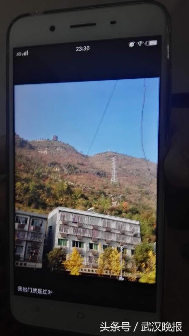 你看到的位置共享可能是假的！小伙微信找“附近美女”被骗8千元