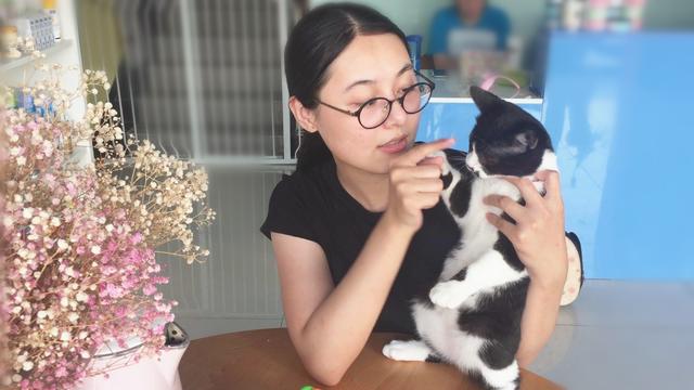 主人拿干花逗猫咪，小家伙超级配合，喵：带我走给亲亲哦