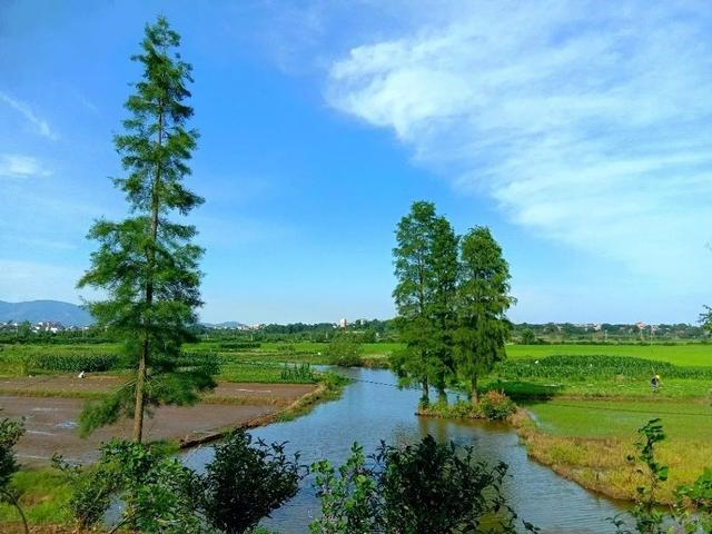 水墨左岗五月天