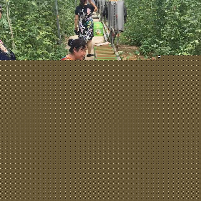 小西瓜见证大爱心