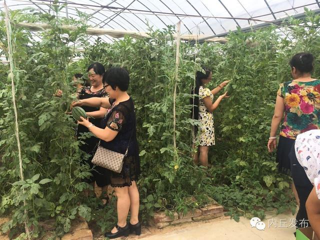 小西瓜见证大爱心