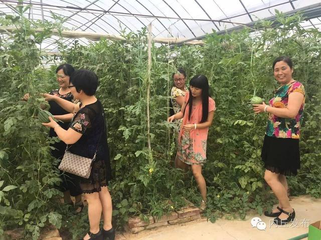 小西瓜见证大爱心
