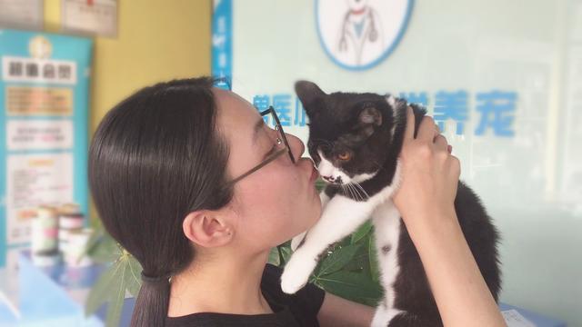 主人拿干花逗猫咪，小家伙超级配合，喵：带我走给亲亲哦
