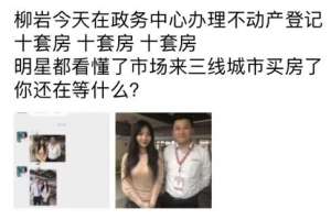 柳岩辟谣买十套房-办理税务类业务为真 买房为假