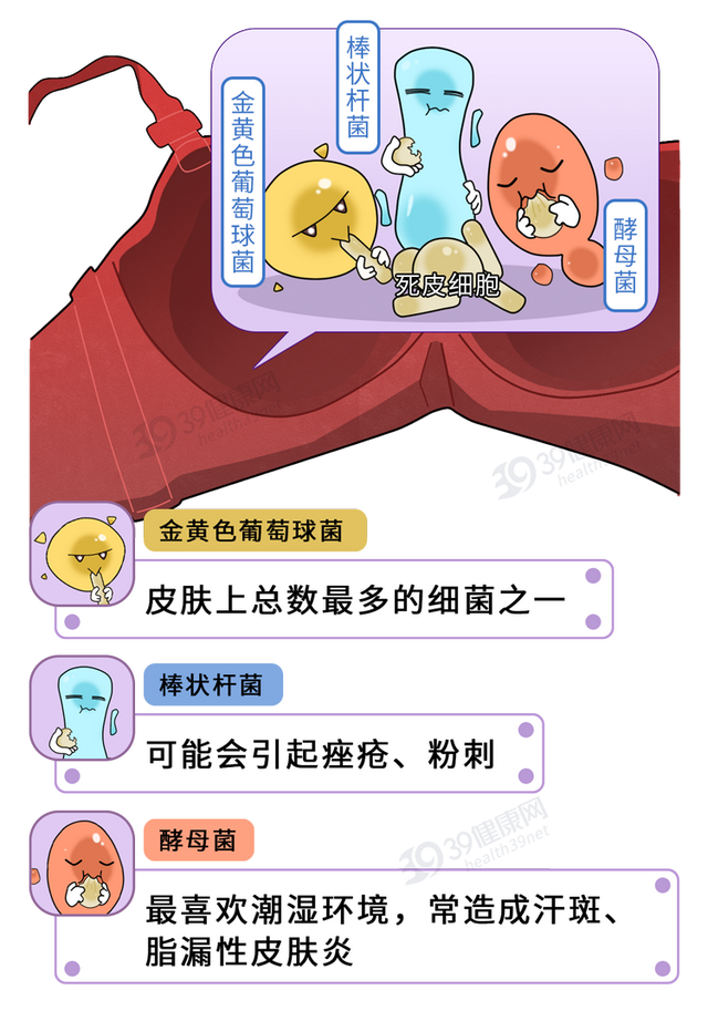 女生的内衣有多脏?多久换一次最好?别害羞,都做对的人并不多