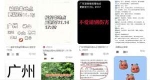 抓美女当宠物(网友疑似抓到给宠物狗投毒女子)
