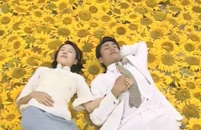 妹纸们看韩剧，看的是神马呢