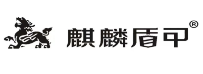 十大隐形车衣品牌，你了解那个？