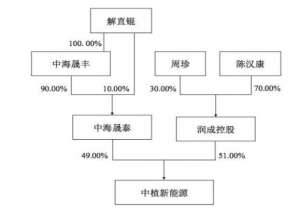 上海舒驰汽车(「深度」康盛股份新重组背后：中植系“折戟”)
