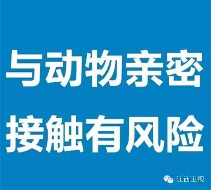 中国女游客与蟒蛇亲吻被咬伤，网友：吓死宝宝了！