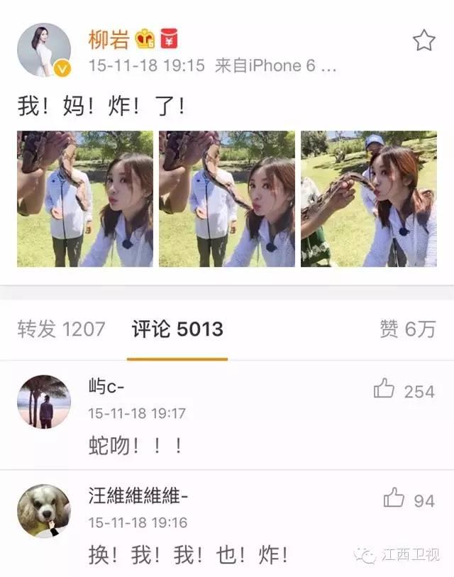 中国女游客与蟒蛇亲吻被咬伤，网友：吓死宝宝了！