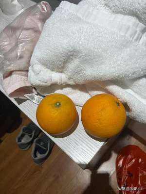 宜春到萍乡汽车时刻表(南京出发坐公交车到南方去过冬第九天：宜春——萍乡。)