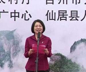 突变美女(美女书记林虹：仕途风云突变，直播起势后却深陷调查谜团)