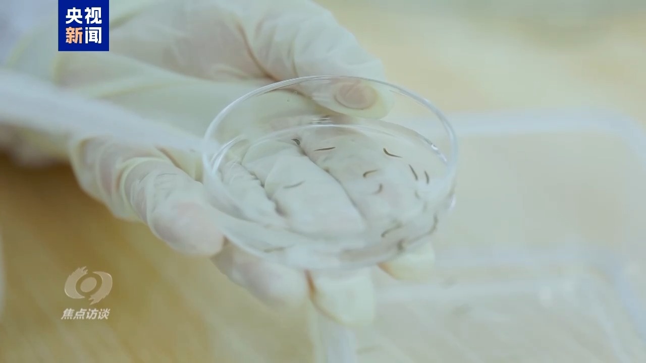 焦点访谈丨中国航天步履不停 太空家园再迎新