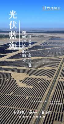 世界环境日丨看新疆的“绿色”答卷