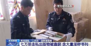 目标群体多为青少年！大量走私“二次元”淫秽漫画被海关查获