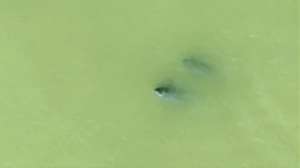 人这一辈子，一定要去一趟南昌看“微笑天使”！