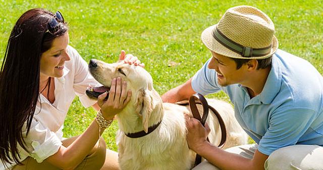 养狗能够治愈身心，不仅有利于身体健康，还能治疗心理疾病