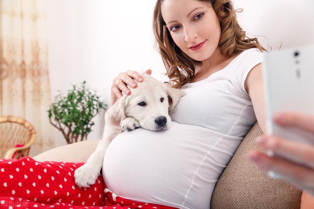 怀孕了，到底能不能养狗？