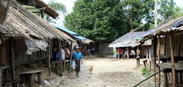 直接在缅北训狗场，数万妇女被困，“乖乖”被驯化成狗的样子