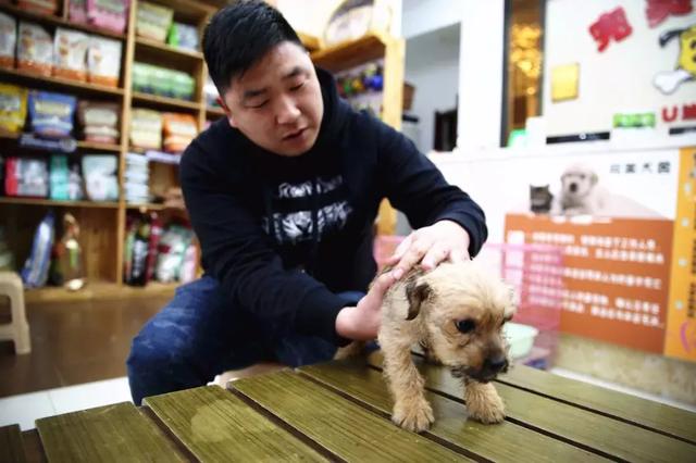信阳“狗王”，85后宠物店主陈坤的幸福生活！