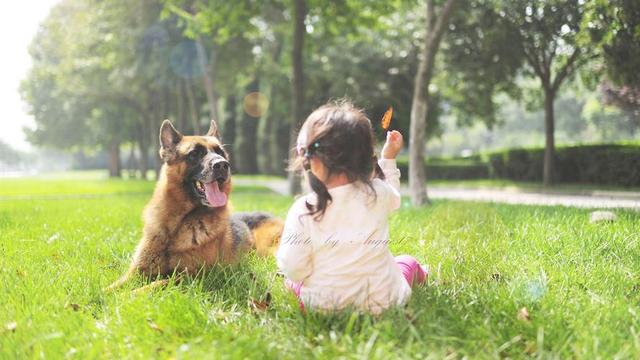 这几种狗“对孩子友善”，适合陪伴成长，你有养吗？