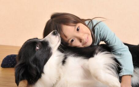 为什么中国大部分家长不让养狗？