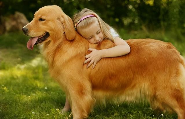 这几种狗“对孩子友善”，适合陪伴成长，你有养吗？
