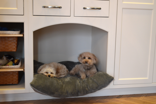 给家里的狗狗安置一个温馨的狗窝，节省空间又美观实用