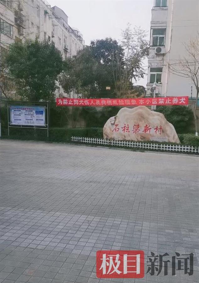 郑州一社区全面禁止养狗引质疑，居委会：不会强行开门捉狗