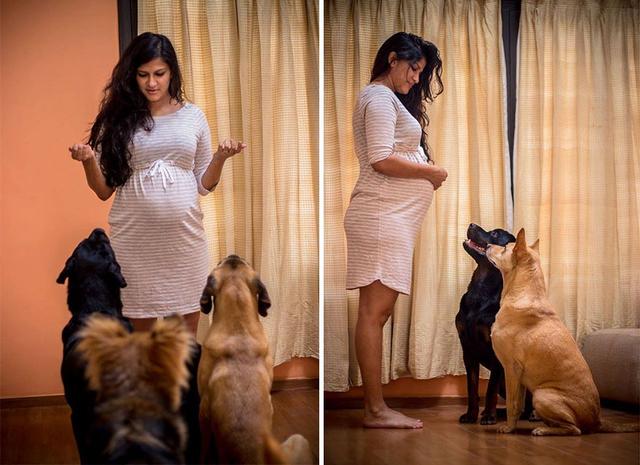 怀孕不能养狗？印度妈妈用行动证明，说怀孕不能养狗是主人的问题
